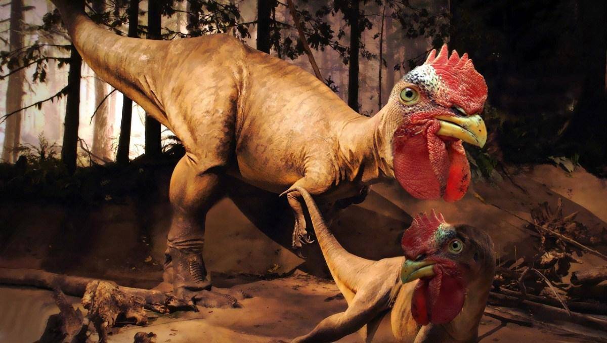 被复活的恐龙图片