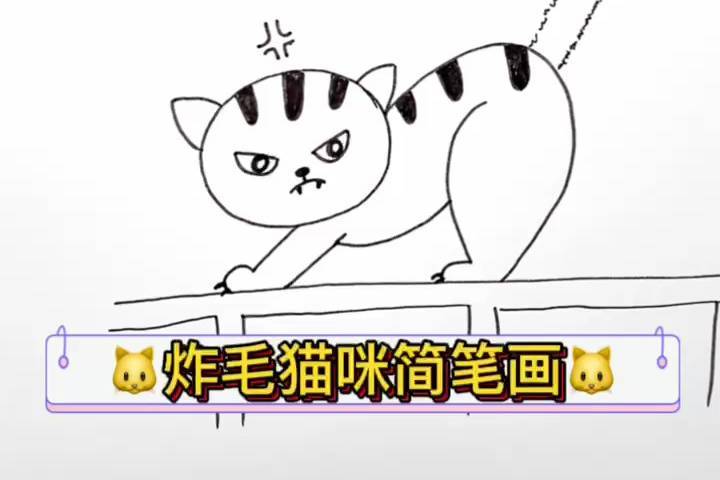 生气小猫咪简笔画,你家猫咪生气是这样子的吗?
