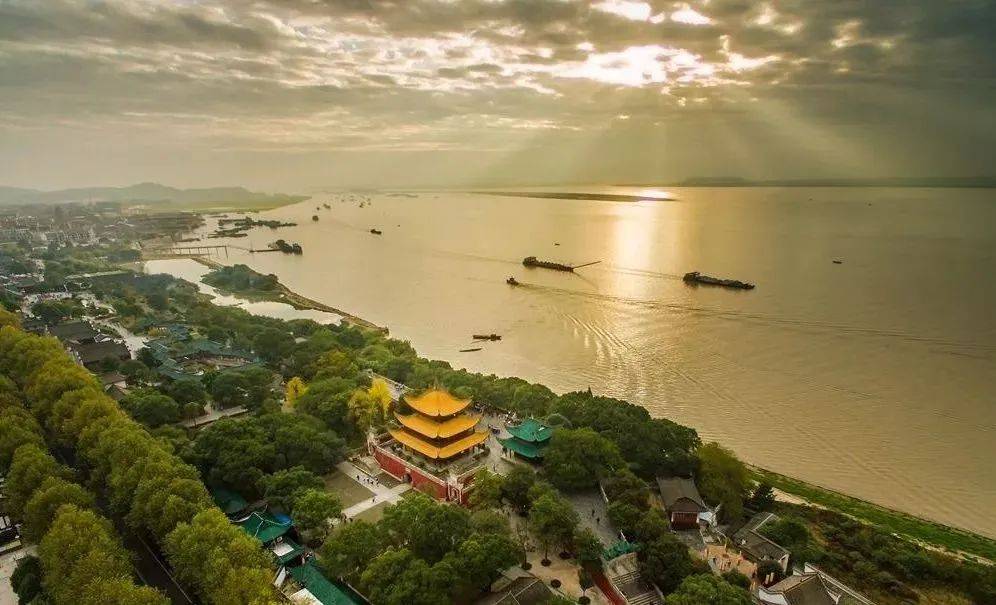 君山_高孝祖_银针