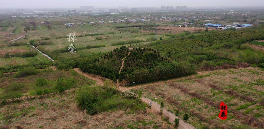 都是厲害人物,漢武帝立劉弗陵為太子,賜死了劉弗陵母親鉤弋夫人,怕她