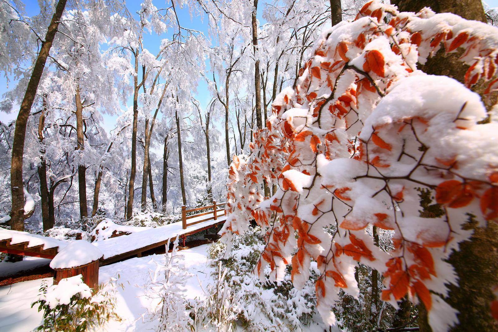 光雾山雪景图片图片