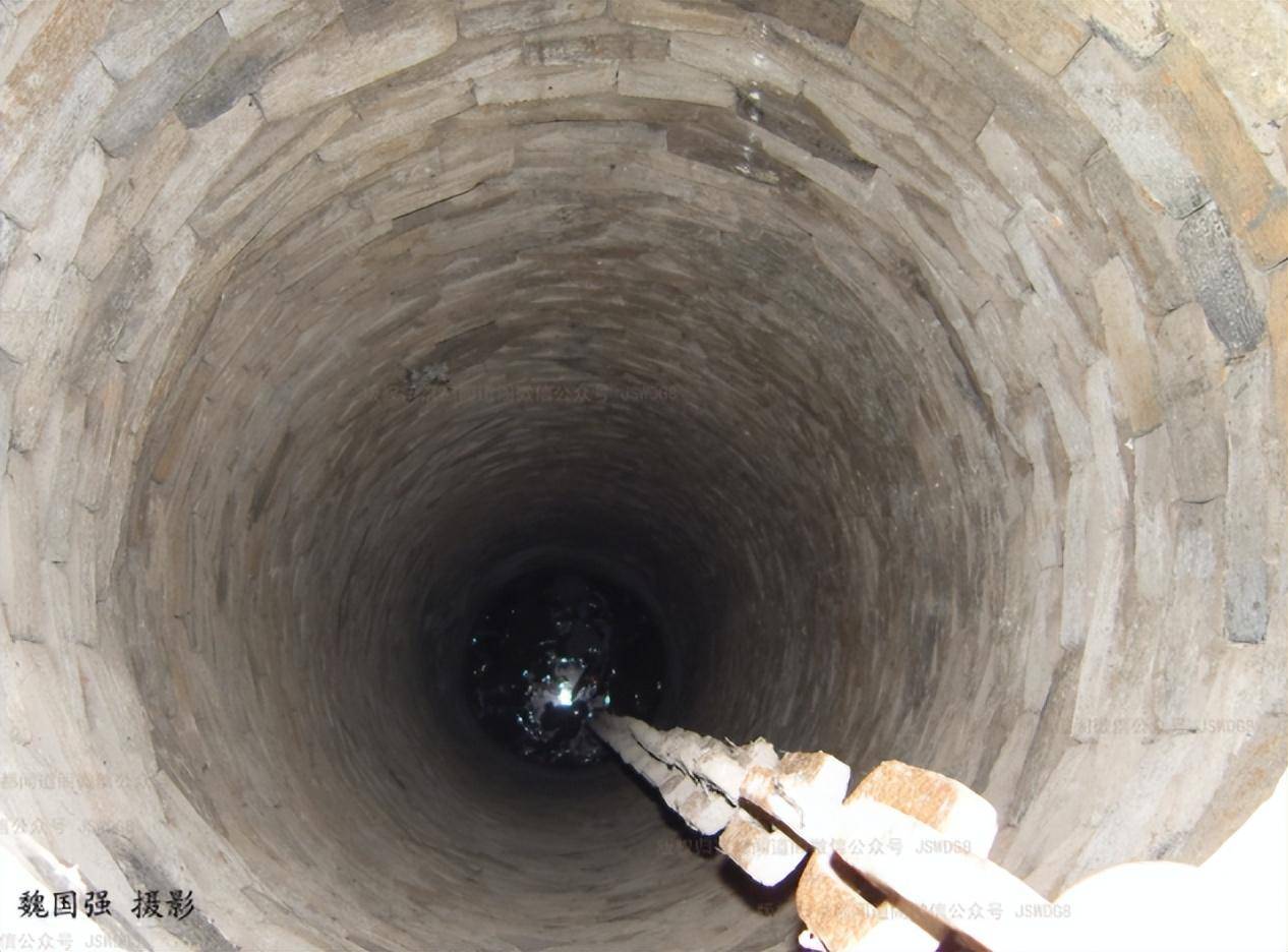 蛟龙这种生物真实存在吗?"走蛟"又是怎么回事?_古代_千年_鲨鱼
