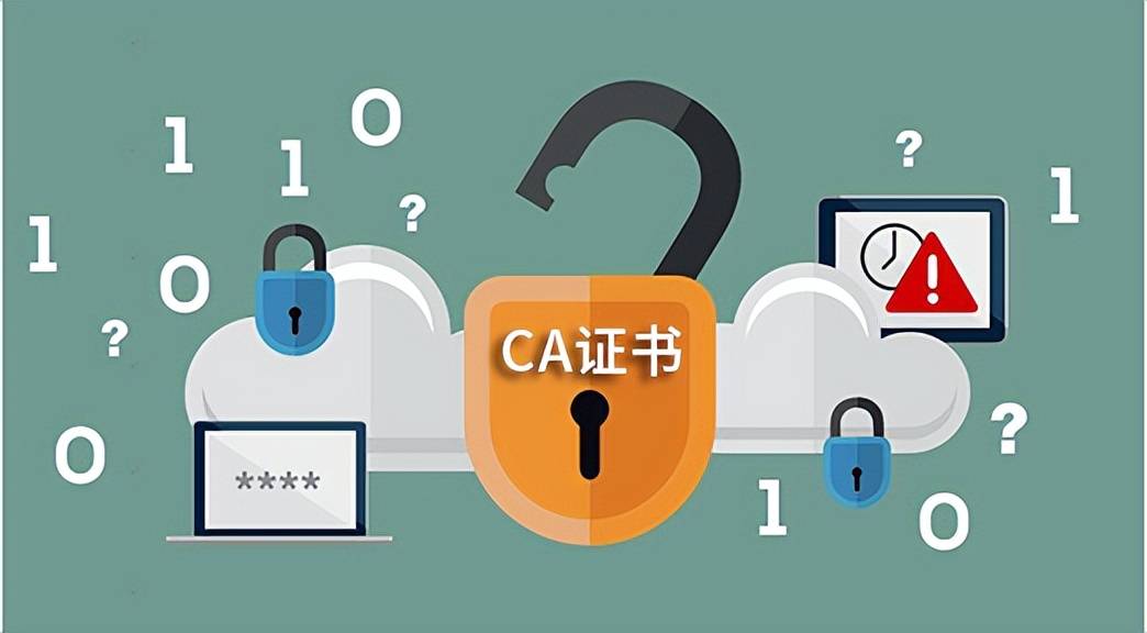 政府采购网ca证书怎么申请?一文带你了解_机构_进行_设备