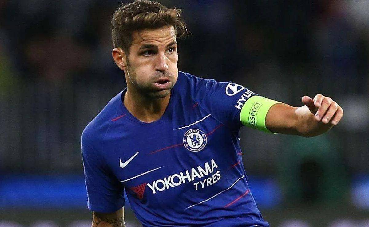 记忆中的球星—小法法布雷加斯_阿森纳_西班牙_世界杯