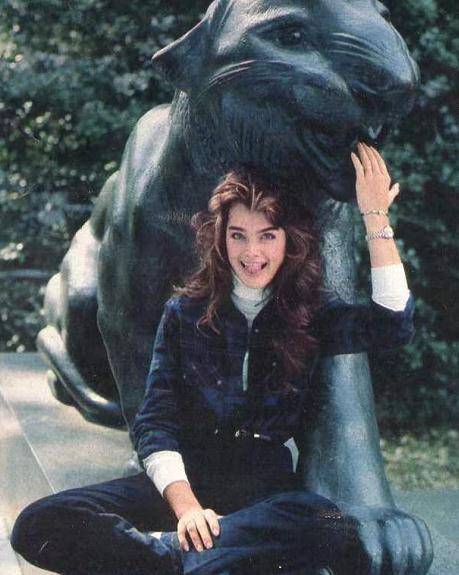 这对波姬·小丝无疑是致命的打击,不过她并没有放弃,开始尝试人工试管