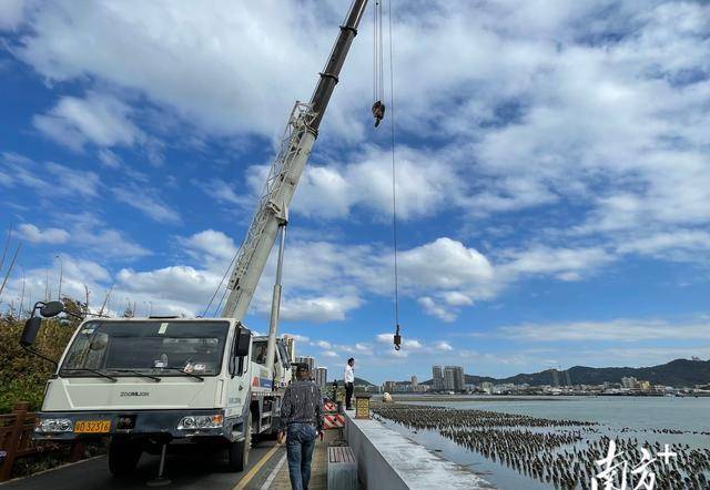 濠江區海洋綜合執法大隊派出執法艇協助水上巡防,2臺大型吊車配合灘塗