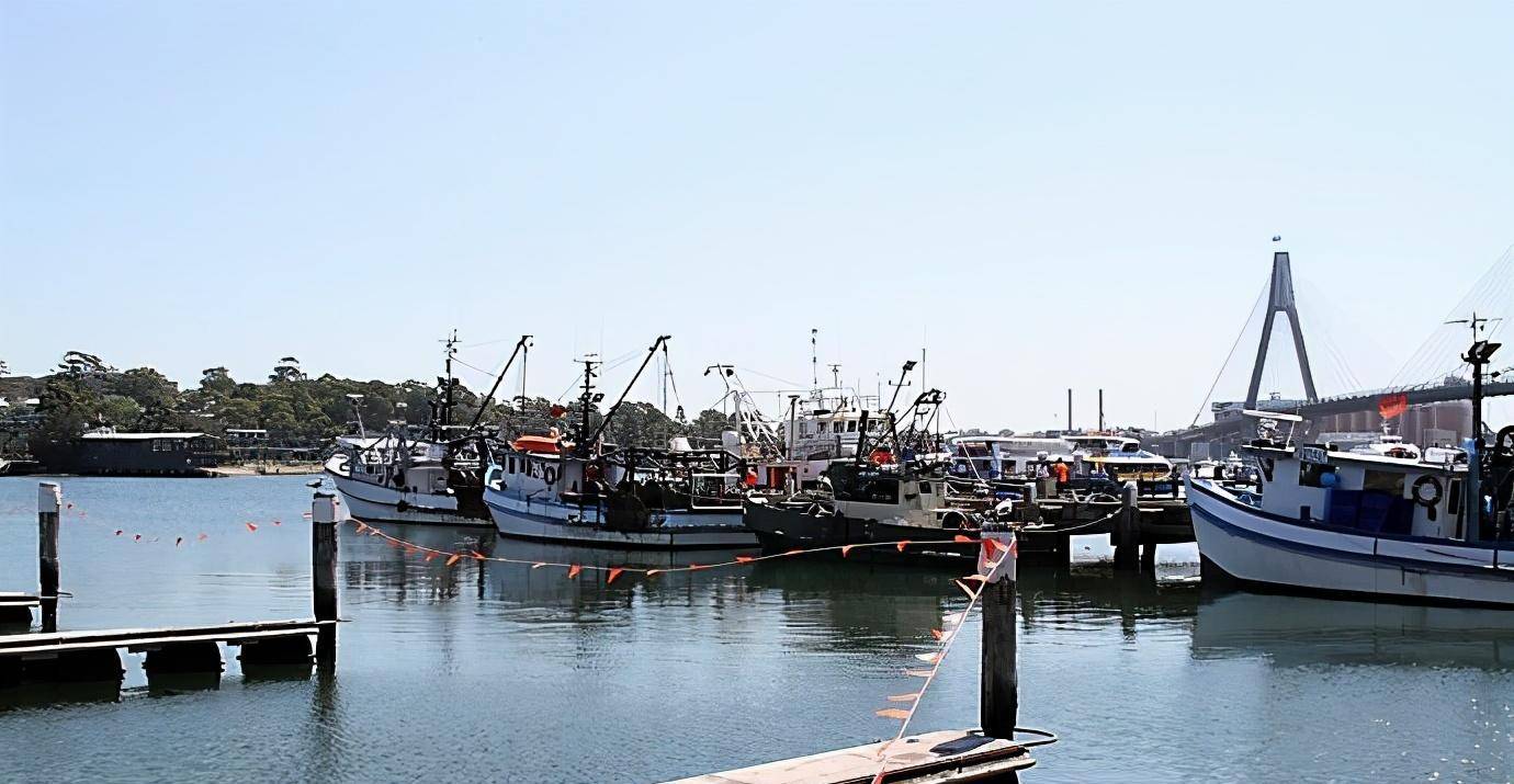南半球最大的海产品市场-悉尼渔人码头_龙虾_美食_海鸥