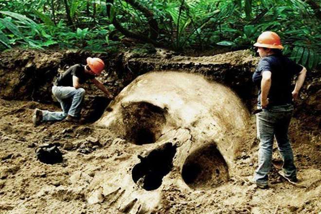 周公解梦原版解析，梦里遇见他人挖出完整人核骨的深层含义