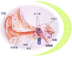 耳聋、耳鸣的区别与联络