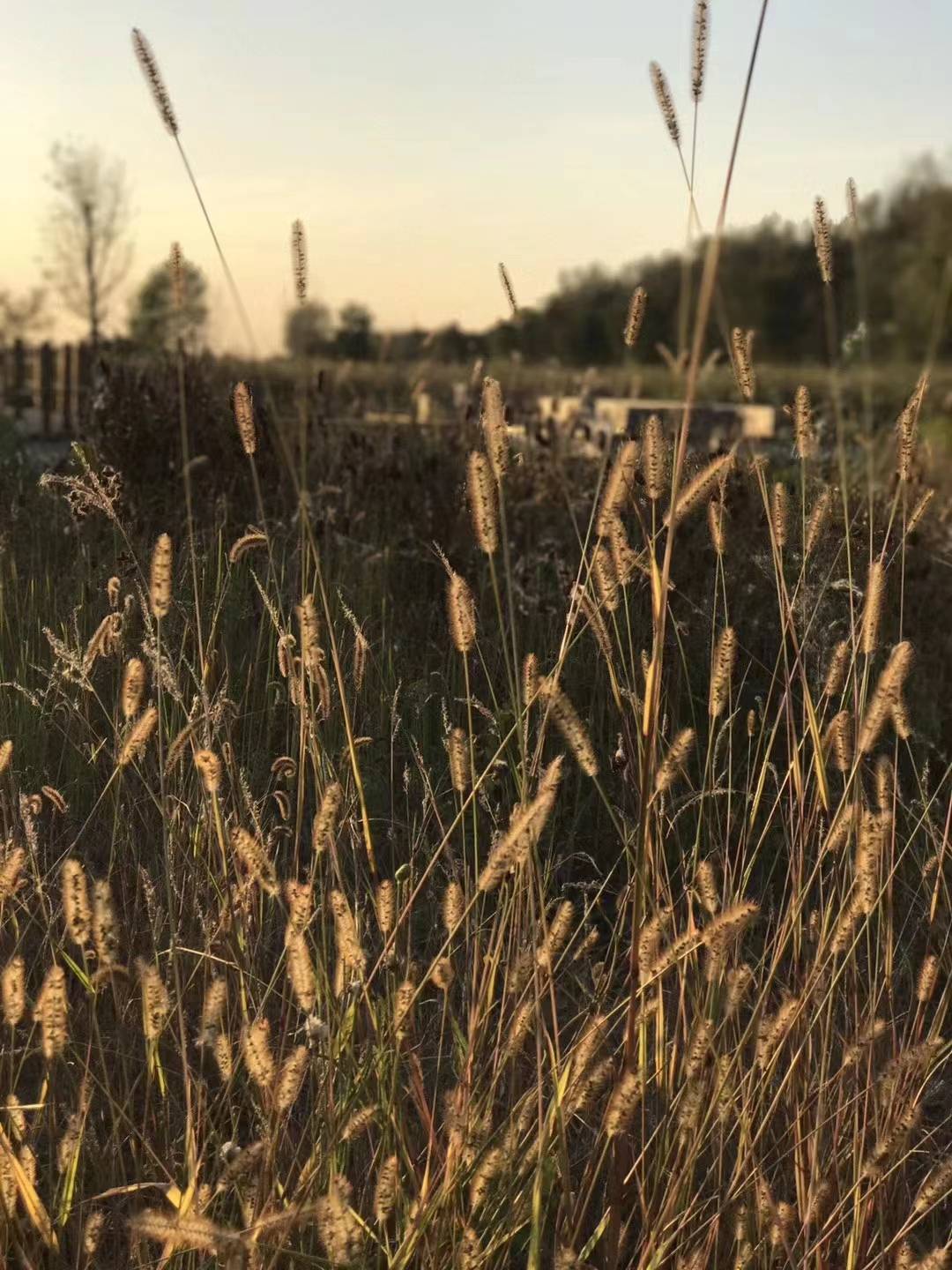 原创
            那些年，我们一起追过的学霸，是如何沦落为社会底层的？