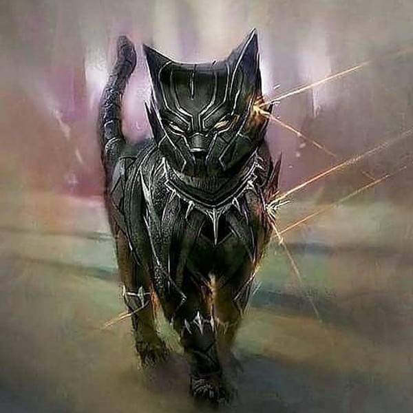 漫威:超级英雄化身猫咪形象,毒液霸气,小蜘蛛胖的圆滚滚!