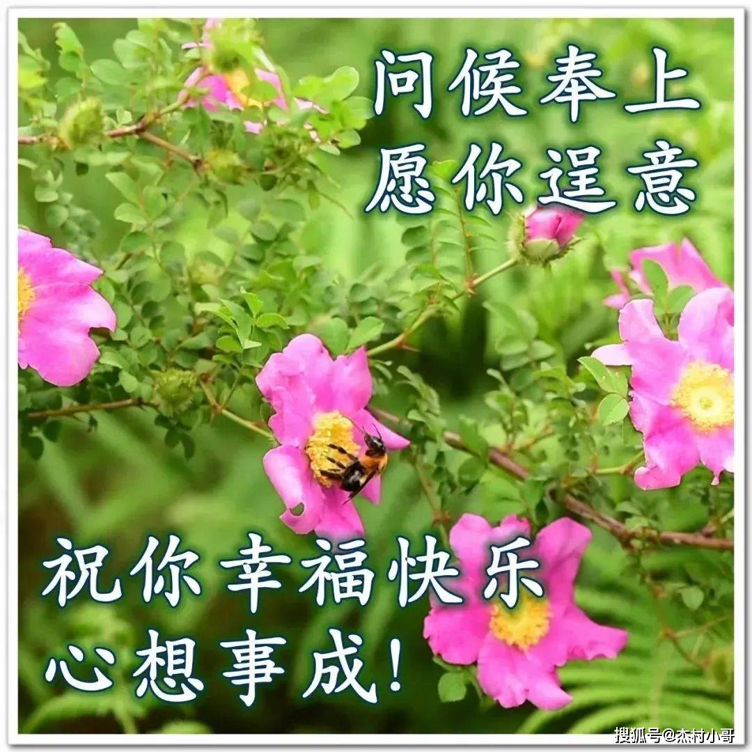 12张冬季腊月早安图片带字推荐,早上好问候语图片_人生_朋友_生命