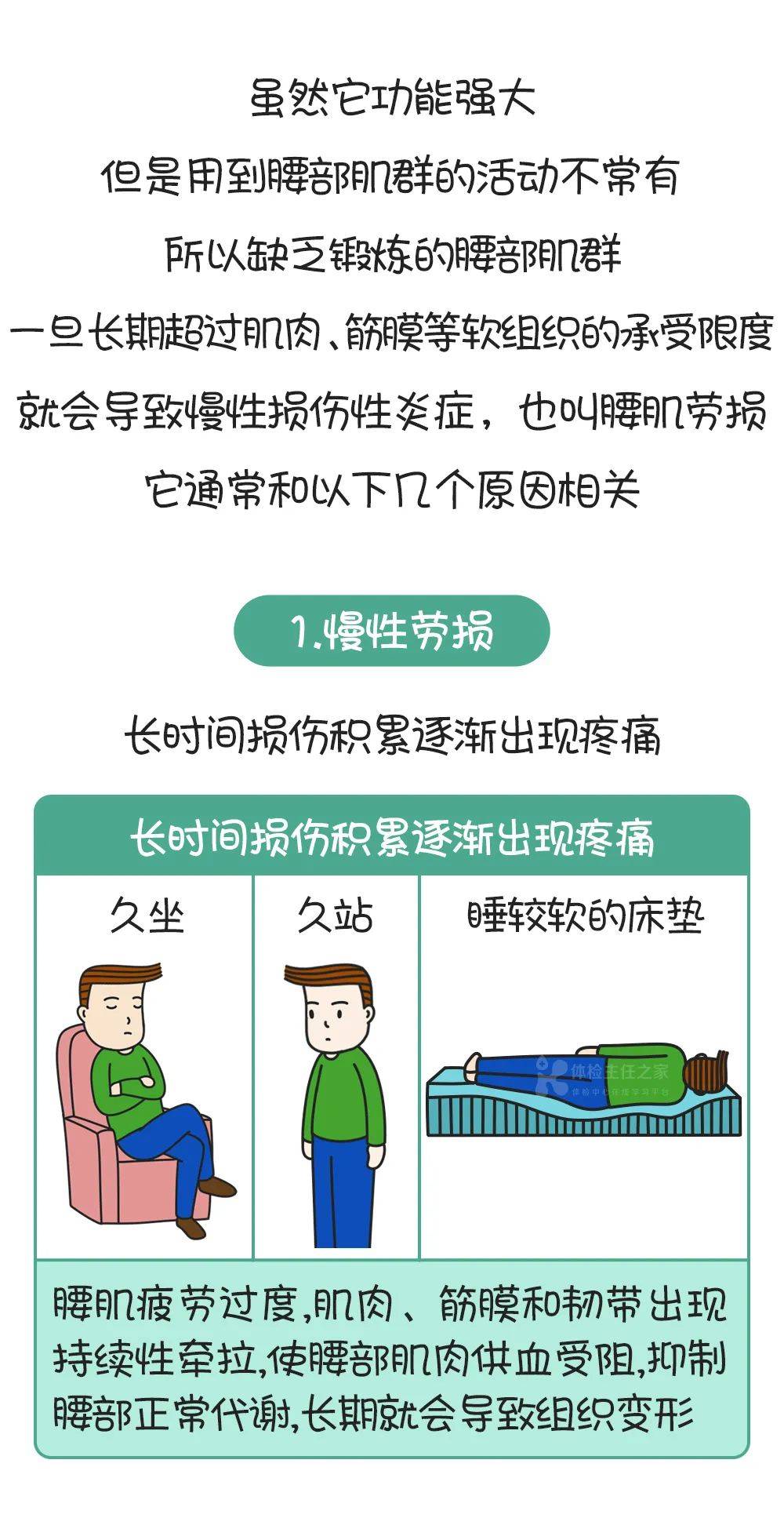 脊柱结构不稳定:先天性畸形,腰椎间盘突出,小关节功能出现紊乱腰肌