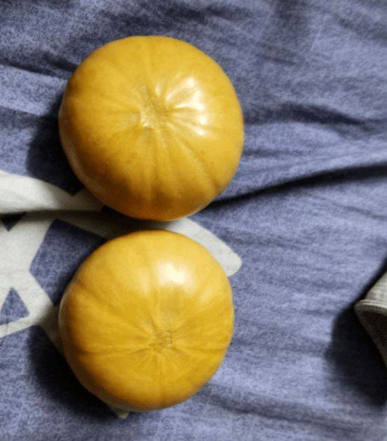 这种葫芦,你们文玩市场有么?_疙瘩_西瓜_蚂蚁