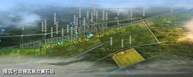 2023年崇明热销楼盘 崇明岛大爱城 楼盘解读_搜狐网