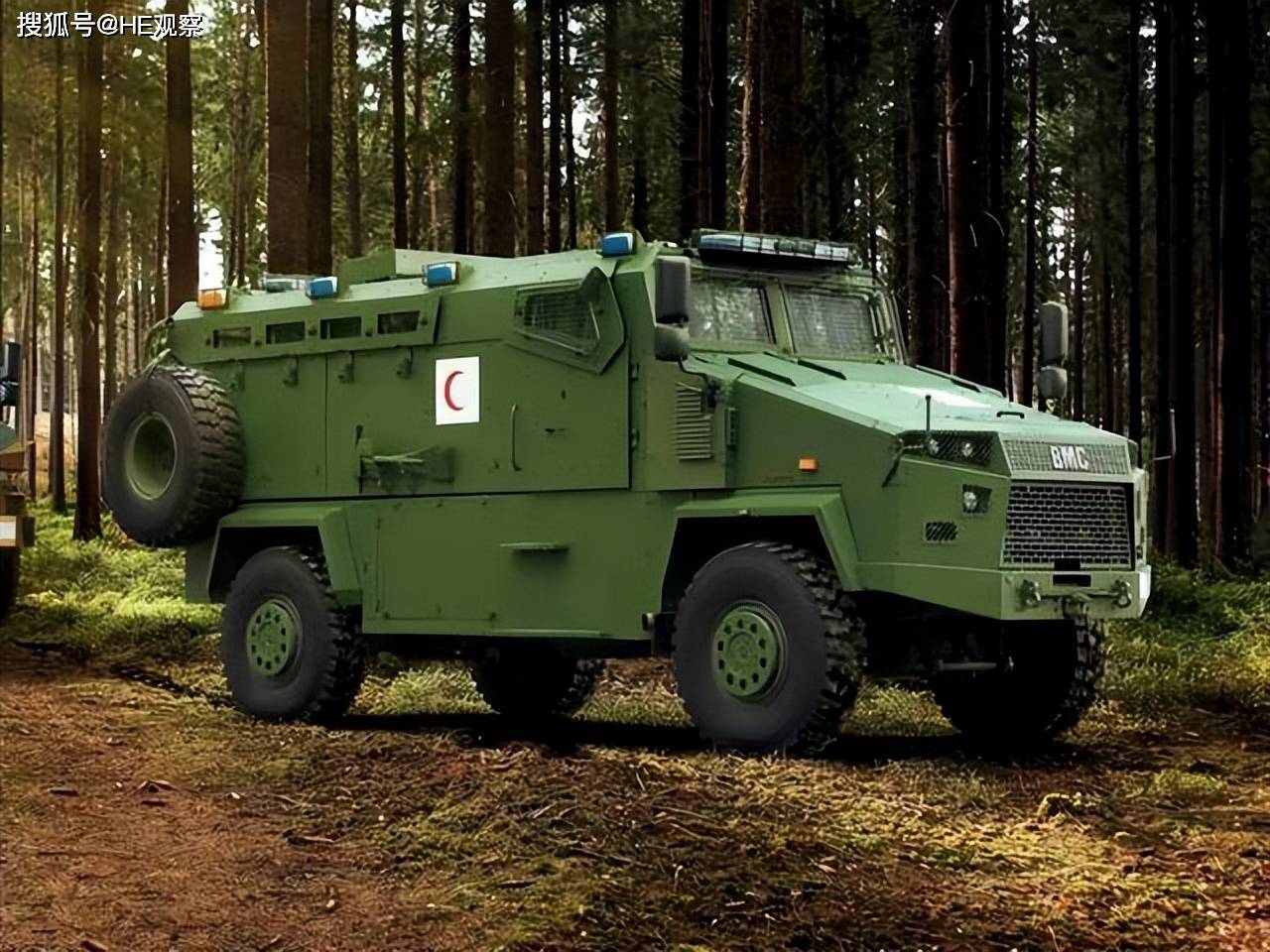 澳大利亚提供的90辆"大毒蛇"和英国提供的"猎狼犬","獒犬"等型号