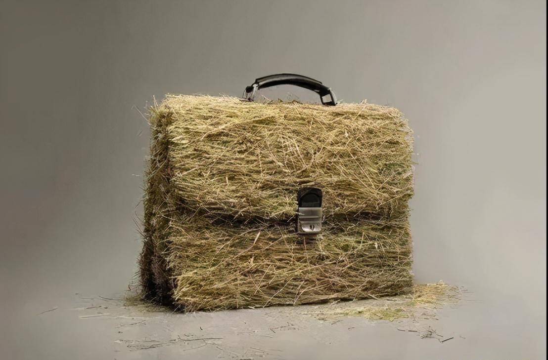 资料图/新华社连日来,贵州女子吐槽社区书记"草包"一事受到媒体关注