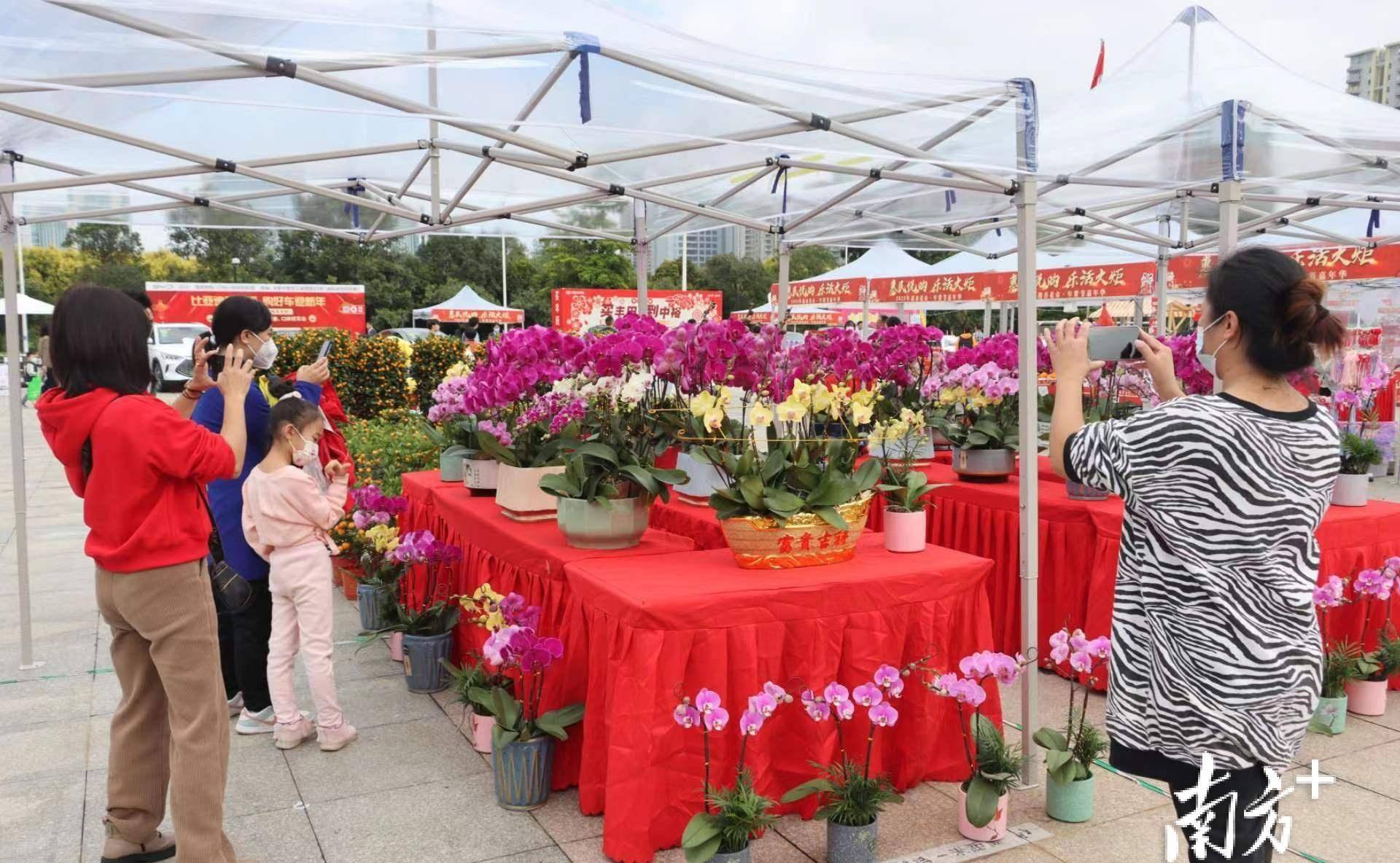 派发十万元促销券,中山火炬开发区迎春花市暨年货节开市_嘉年华_市民