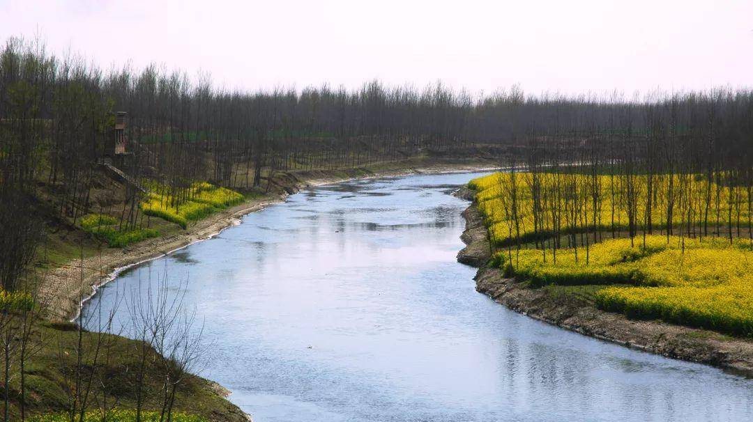 河南洪災,衛河決堤,那麼對於這條大河你瞭解多少_淮河_河流_海河