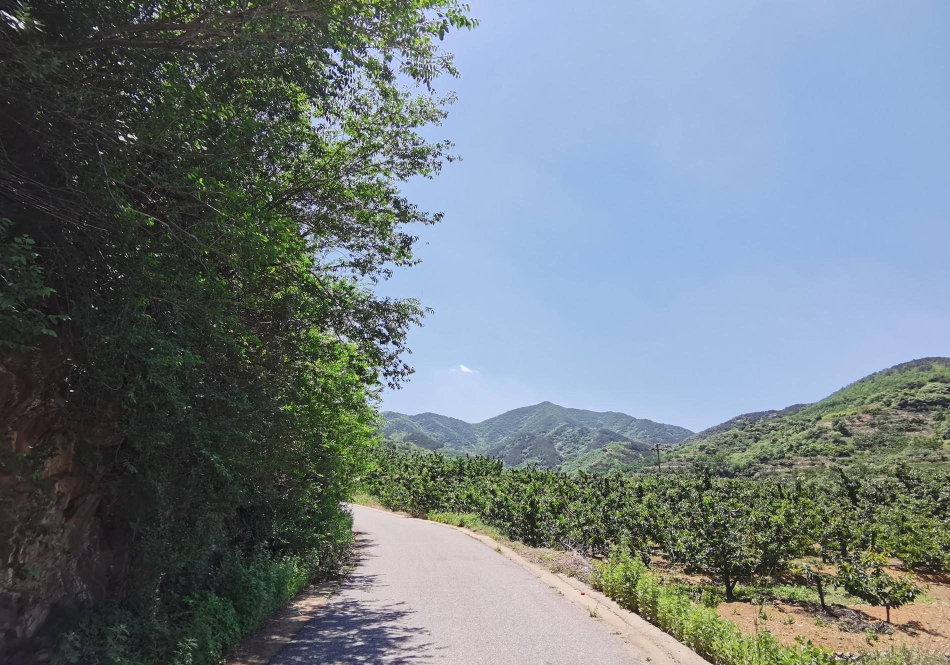 栖霞这个小山村,在电视剧《好雨知时节》第一集里就露了脸_复兴村