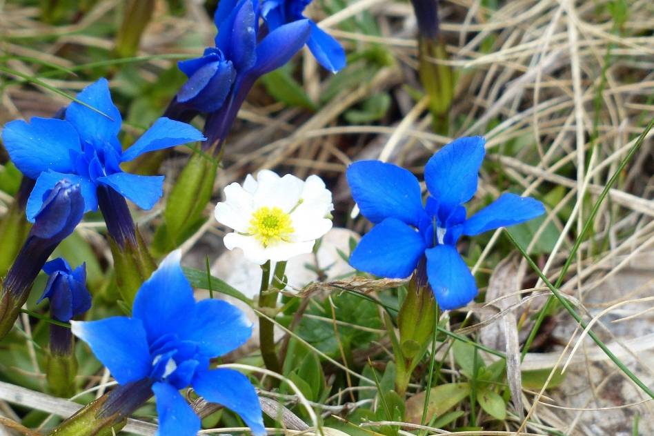 五周之内必有吉星相伴，届时他们可以大赚特赚，满门富贵也不难_机会_财运_财富
