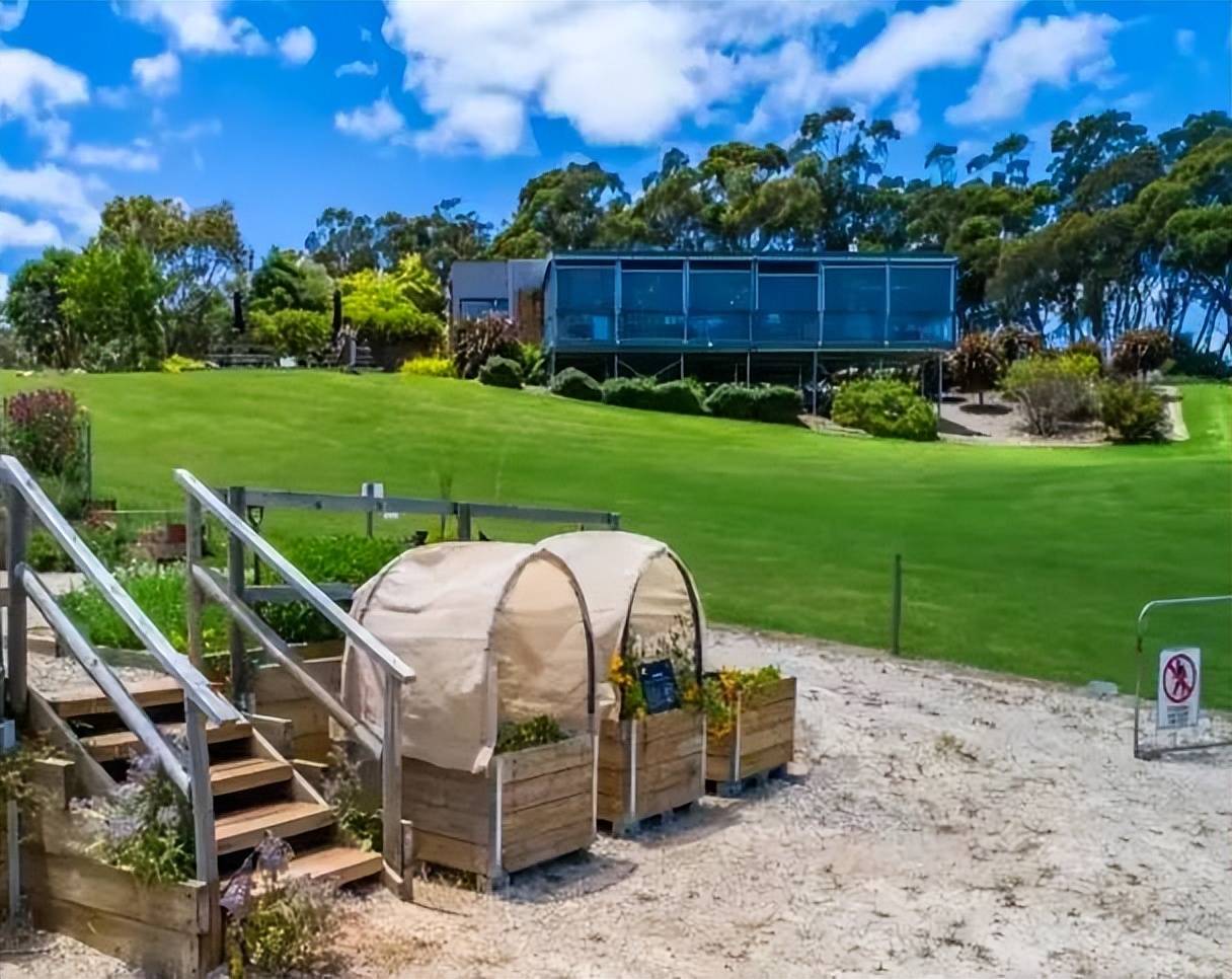 澳洲红五星酒庄以1000万澳元出售,曾有中国资本入股,舒淇代言_宝石