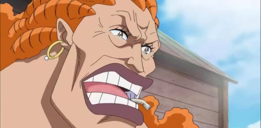 位老师,只有一位是女性,两人隐居,一人死亡_达旦_马尔科_白胡子海贼团