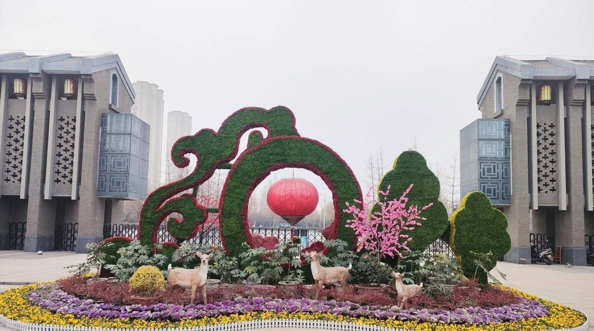 郑州花坛书记事件图片