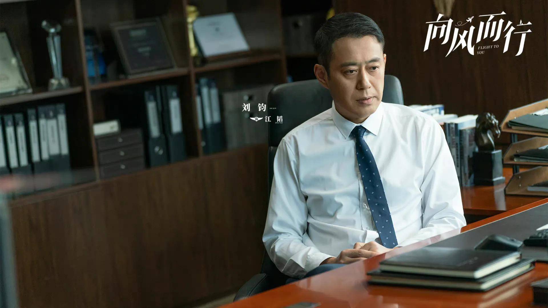 《向风而行》大结局了，这两个角色太具有代表性了_江韬_倪湛_飞行员