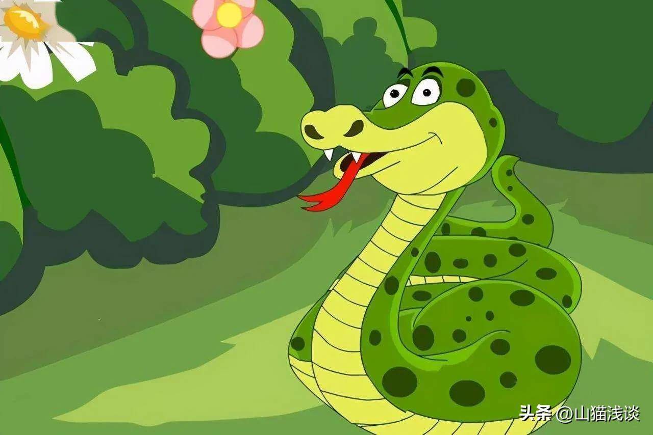 菜花蛇明明没有毒,为什么被称为百蛇之王?_毒蛇_地方_时候
