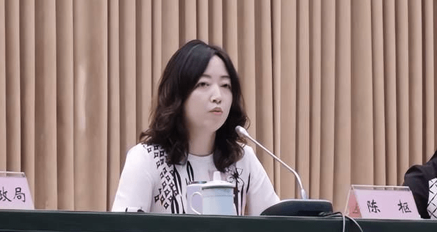原创41岁女副区长走红个人履历令人羡慕却因聊天记录受争议