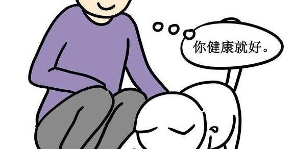 原创
            流浪猫、受虐猫救助指南：如何判断、一些原理和实用方法2