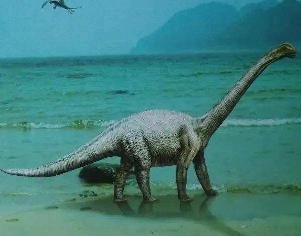 最大最长最高的食素恐龙类_生活_侏罗纪_脖子
