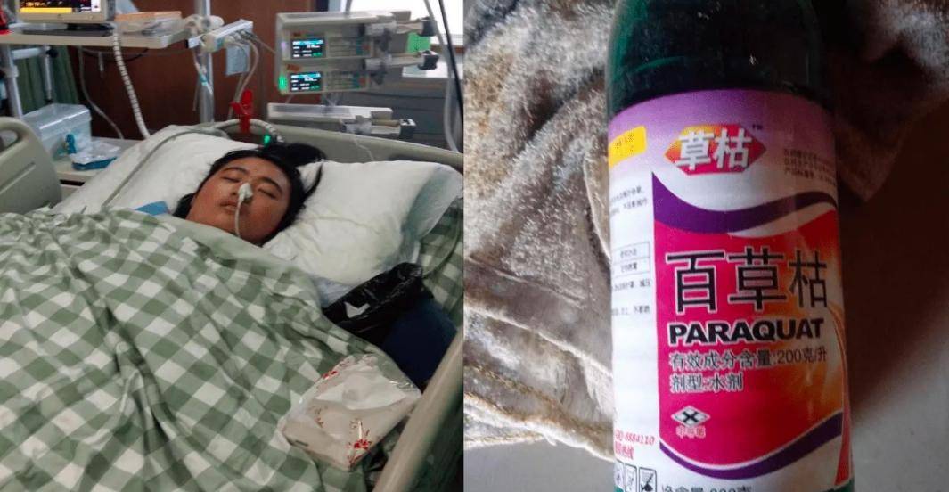 百草枯究竟有多毒?