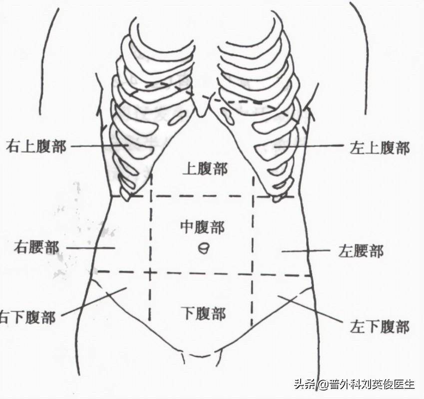 左下腹部则有着我们的乙状结肠,淋巴结,对于女性,这个区域还包括