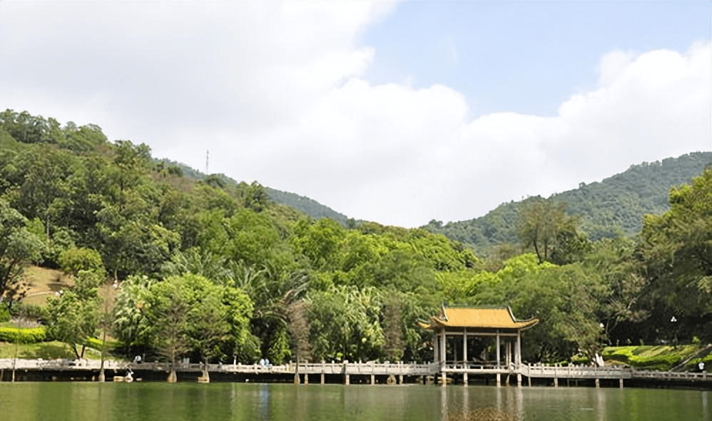 深圳:银湖绿道,秋高气爽,阳光明媚,怎能错过?_树木_亚热带_风景