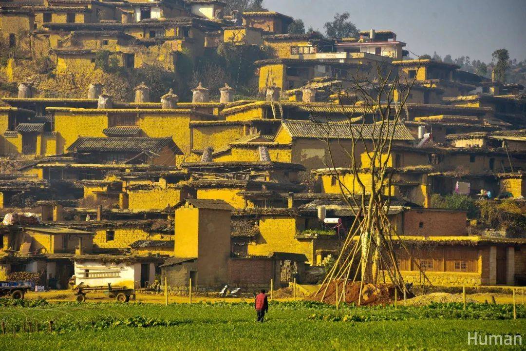 梨花开季,用脚步与滇越铁路穿越时空对话_人字_中国_云南