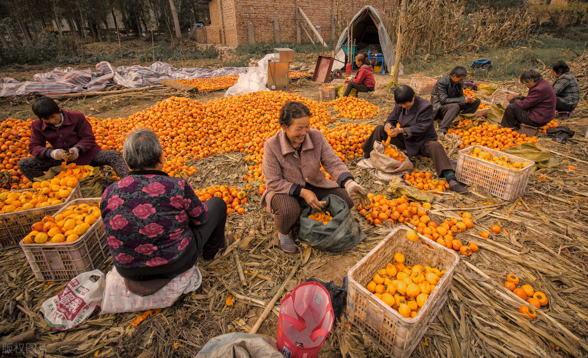 商户支付_商户支付宝微信收款要交税吗_商户支付宝提现手续费多少钱