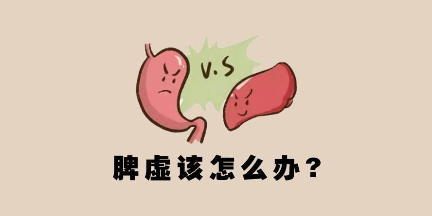 脾虚湿滞 来自搜狐网