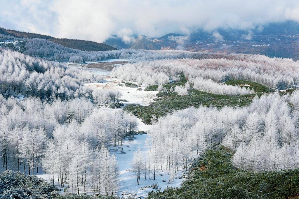 美姑县黄茅埂索玛花景区被评为国家3a级旅游景区_井叶硕_游客_乡村
