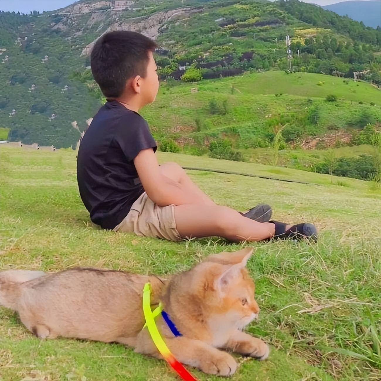 孩子抓海鸥强行塞瓶,父母的处理方式让人愤怒