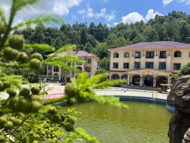 南川避暑房:这个避暑胜地 毗邻三个国家5 a级景区,地处渝东南旅游