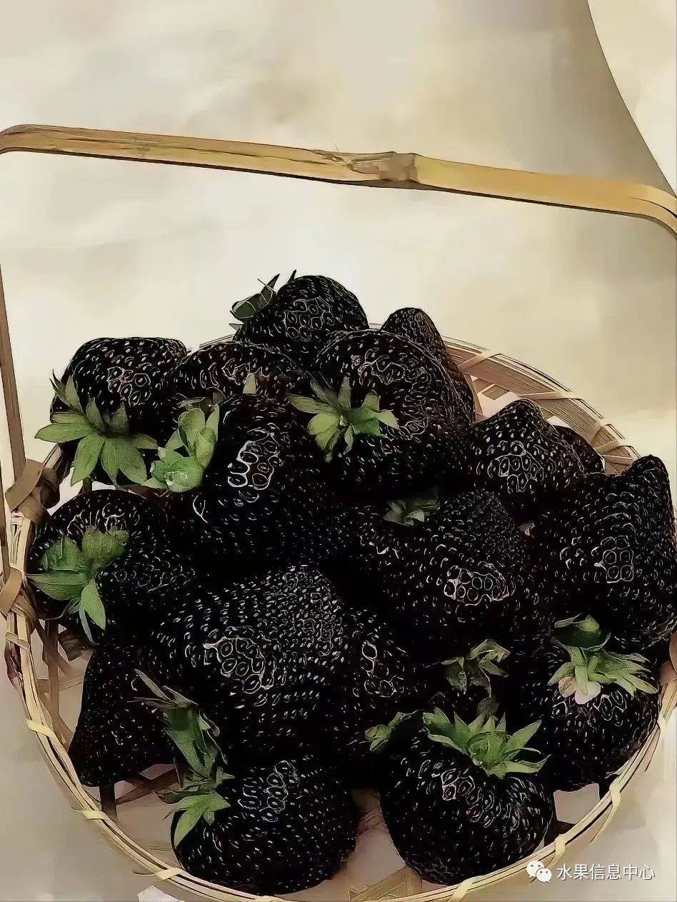 黑草莓火了,未来的水果会是五彩缤纷的吗?