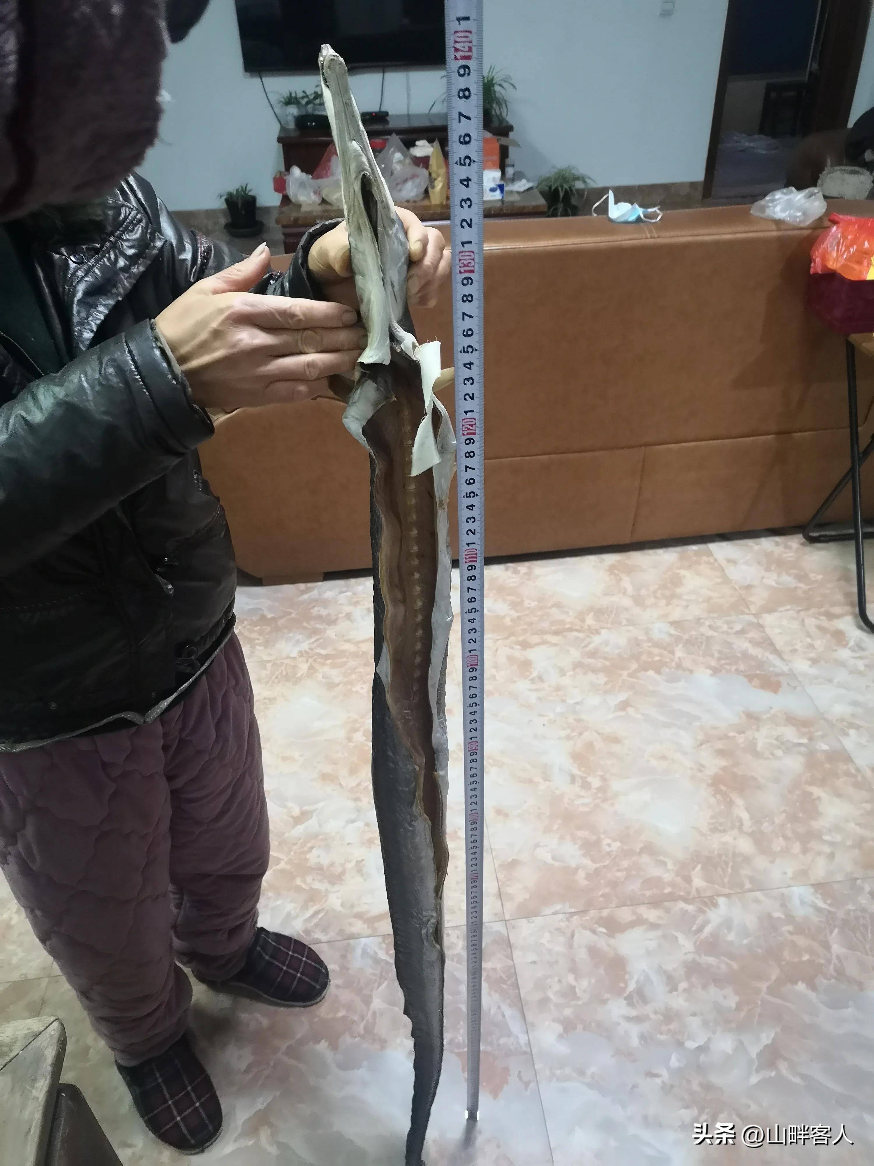 东部沿海地区的年货太吓人了14米长的风干海鳗第一次见到