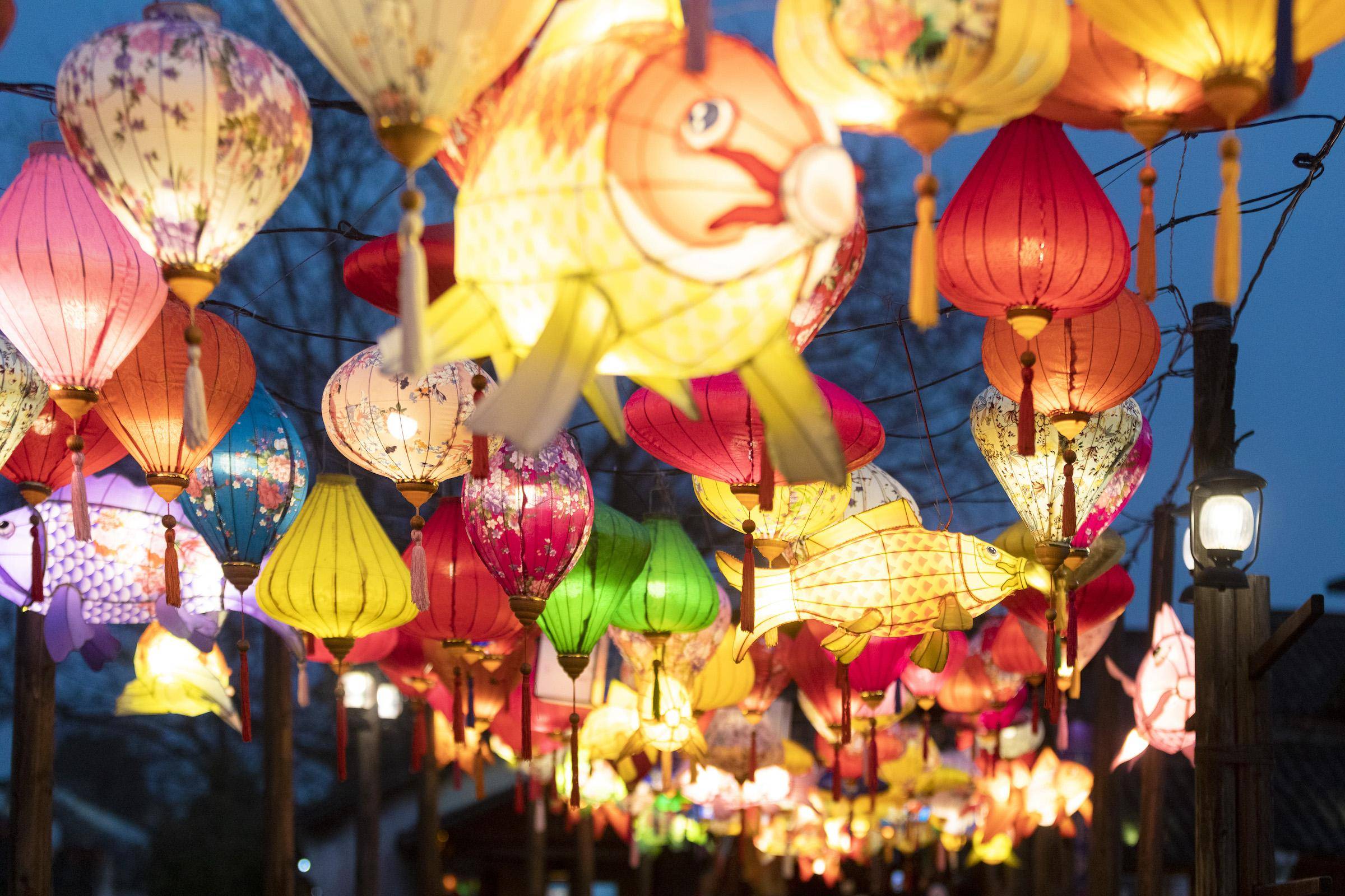 水阁乌镇闹花灯,枕水人家热闹年_活动_乌村稻_江南水