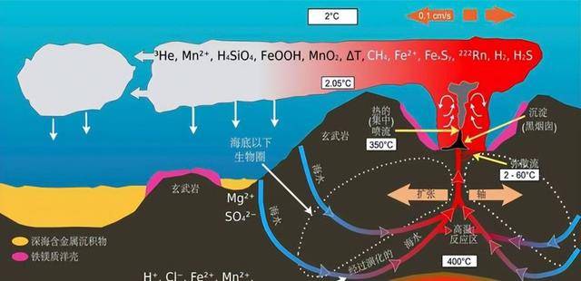海底_深海_生物