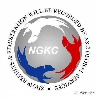 哈尔滨艺凝宠物美容学校，赛事预告|NGKC3月17日哈尔滨站，