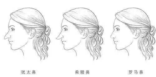 一,犹太鼻 优先从商犹太鼻是指鼻梁高而略带弧形,鼻头则下垂有点勾状
