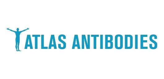 atlas antibodies——所有人类蛋白质的高度特异性抗体的可用性_瑞典