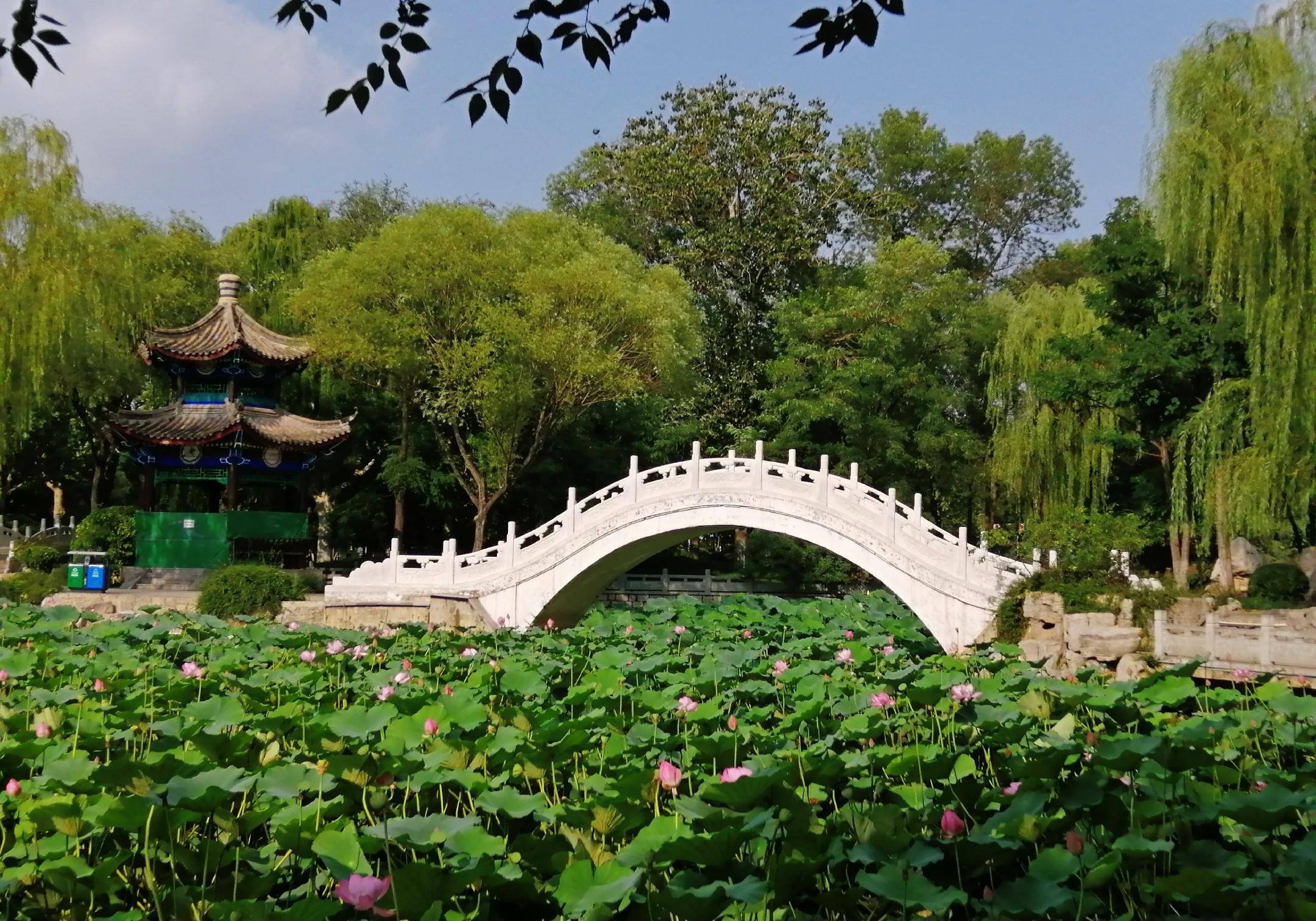 西沽公园坐落在天津红桥区,是一座不是很大的公园,但很有特色,每到